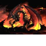 TheDragonX05