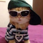 H3LL0KITTYY