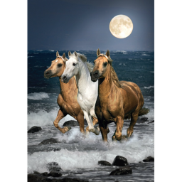 Harmony Hoof Stables