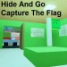 Hide And Go Capture The Flag icon