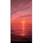 SummeryBlox