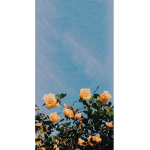 TheBeautySpotsss