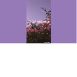 SadxAesthetics