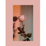 Aesthetic by:Sofia