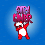 I GAMERINI DI SARA