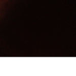 Lucy_rose2490