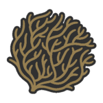 Tumbleweed Interactive