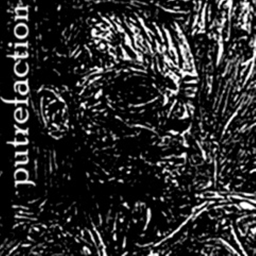 PUTREFACTION Homestore