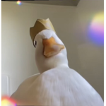 Quack’s Clothing