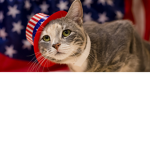 Cat Washington :)