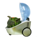 Church of the Watermelon Cooler Yoda