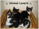 ღ !Animal Lovers! ღ