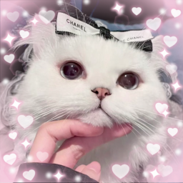 ,, . ; ☆