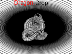 dragon.corp