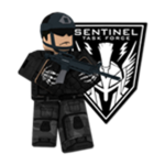 -SENTINEL TASK FORCE-