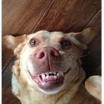sMiLe rIgHt nOw :)