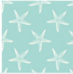 Starships Sea Academy Group
