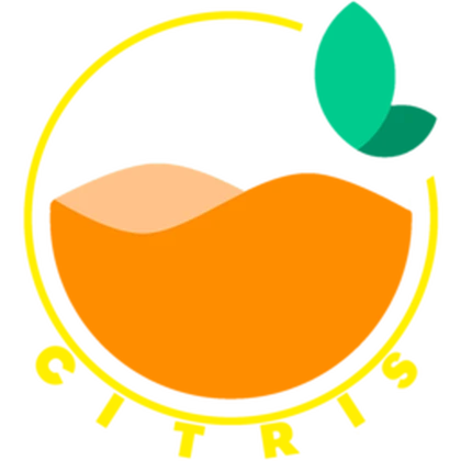 Citris. Roblox group icon