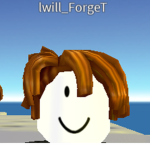 Iwill_ForgeT
