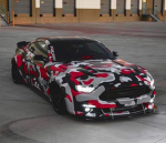 shepherd mustang