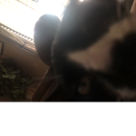 ##### ### public group