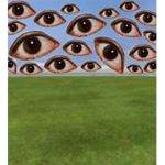 weirdcore house