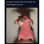 The authentic meme peeps