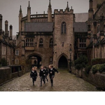 dark academia | ro wizard |