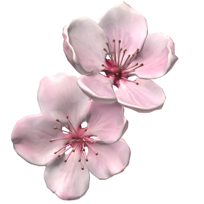  さくら sakura cherry blossom pink flower clip Roblox item