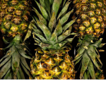 Pinapples