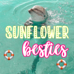 SunflowerBesties