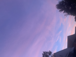 Unicorn avatar