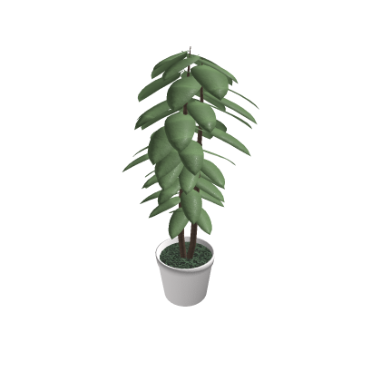 Potted Floor plant