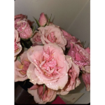 Itz.rosez