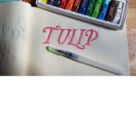 Tulip Cafe (BloxBurg)