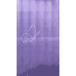 butterfly is amazing