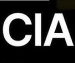 Roblox protection service/roblox CIA