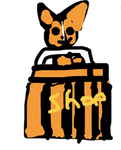 Doge and Shiba studios