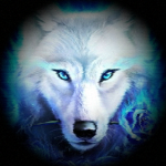 WonderWolvesStudio
