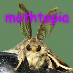 Mothtopia