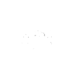 M F N