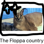 The Floppa country