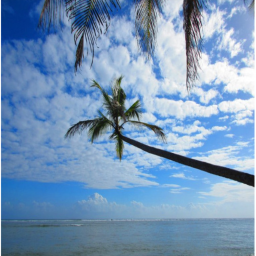 Chill Place