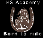 HS academy