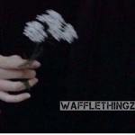 WaffleThingz