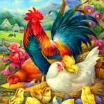 Chicken love here