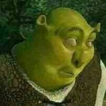 Shrek's Fashionable Closet