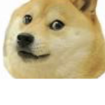 Dog게임즈