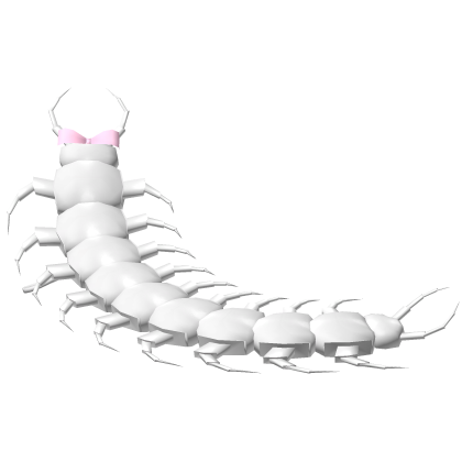 ꒰𖹭꒱ Kawaii Creepy Cute Pet Centipede White+Bow