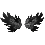 Wings of the Night Raven